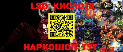 a pvp Кингисепп