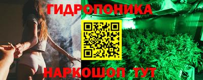 a pvp Кингисепп
